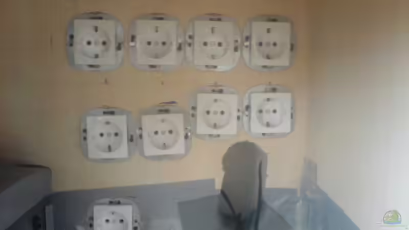 Technik im Aquarium Becken 11519 von Ahmet Degerli (14)