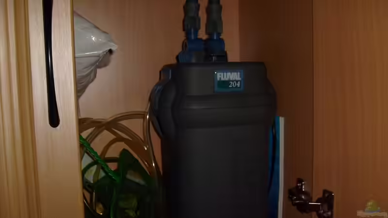 Technik im Aquarium Becken 11596 von SLK Malawi (8)