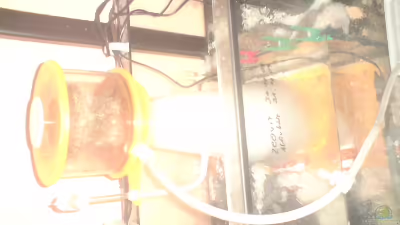 Technik im Aquarium Becken 11616 von Daniel Reichl (20)