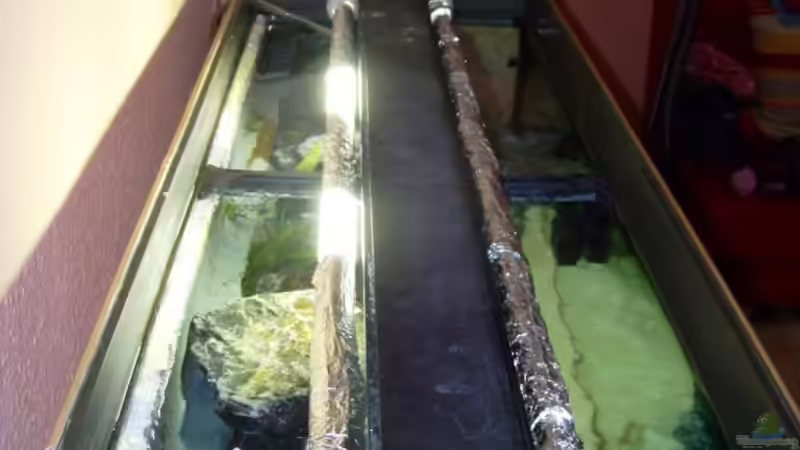 Technik im Aquarium Becken 11628 von rolli174 (18)