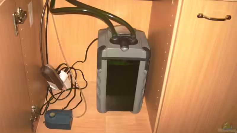 Technik im Aquarium Becken 11687 von Daniel Tomas (4)