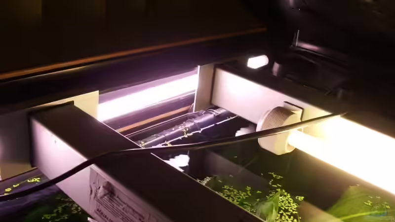 Technik im Aquarium Becken 11688 von Rudi (2)