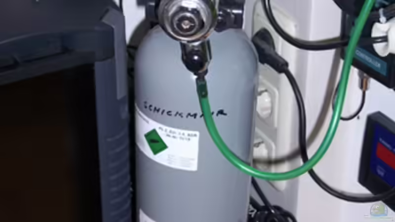 Technik im Aquarium Becken 11731 von Dominik Schickmair (22)