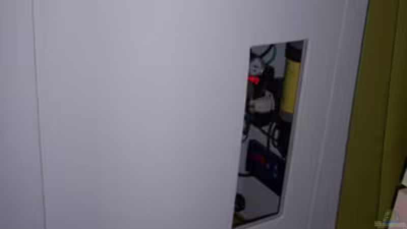 Technik im Aquarium Becken 11731 von Dominik Schickmair (24)