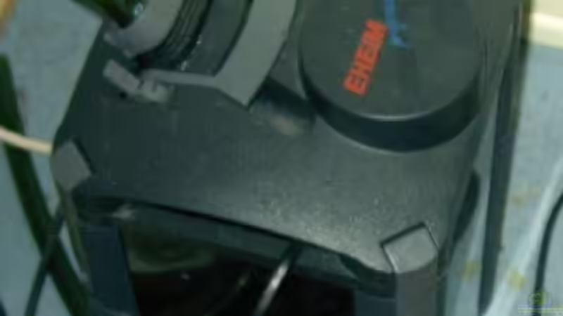 Technik im Aquarium Becken 1179 von Jonas (2)