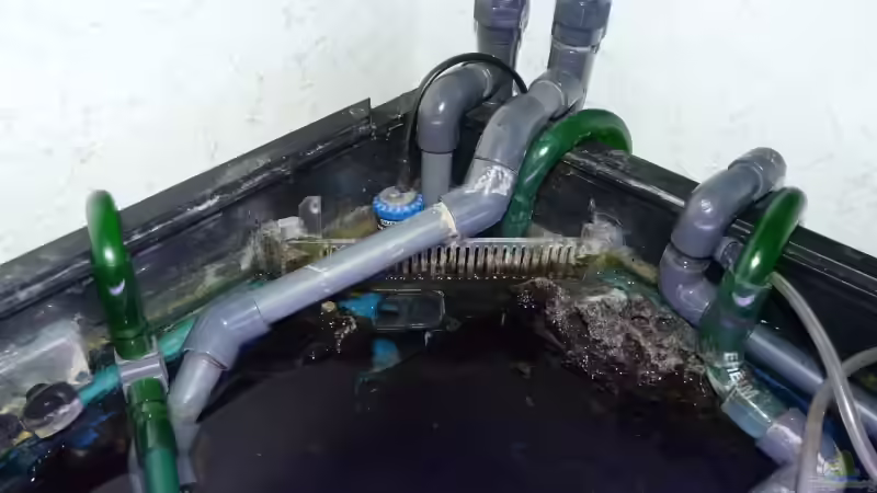 Technik im Aquarium Becken 11876 von Andreas Gorr (8)