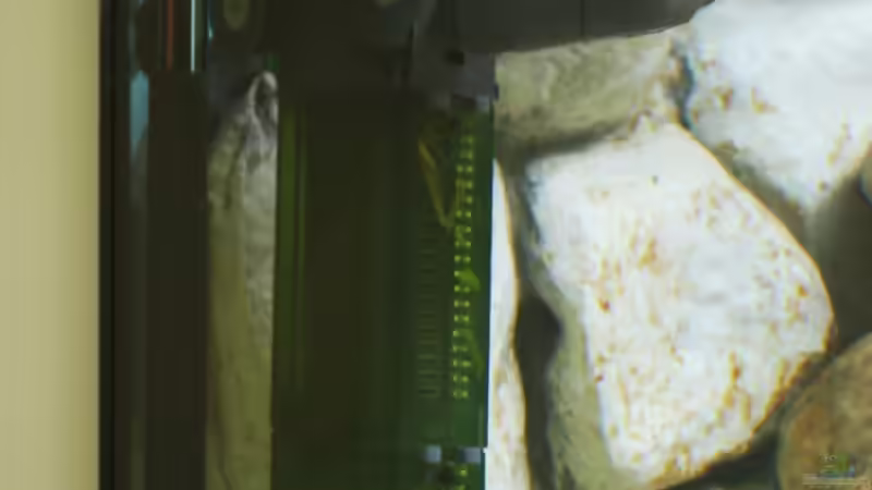 Technik im Aquarium Becken 11992 von Sandro Wiery (7)