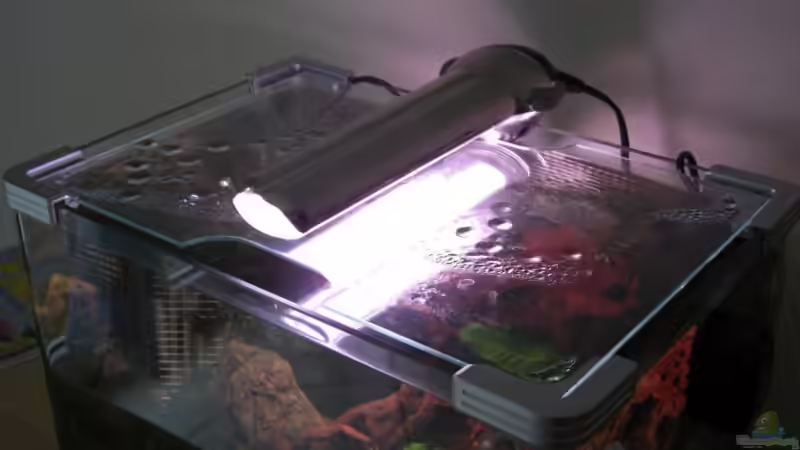 Technik im Aquarium Becken 12026 von Thorsten Kunkel (12)