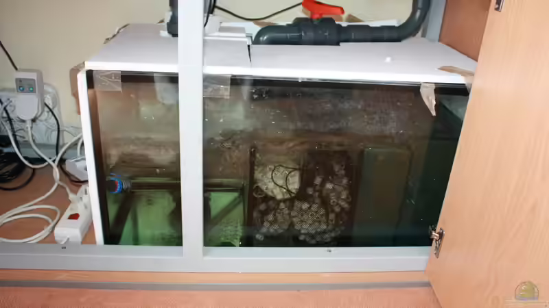 Technik im Aquarium Becken 12042 von Noci (3)