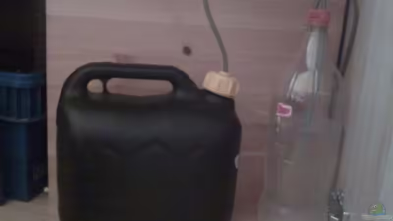 Technik im Aquarium Becken 12053 von Thomas Jordan (9)