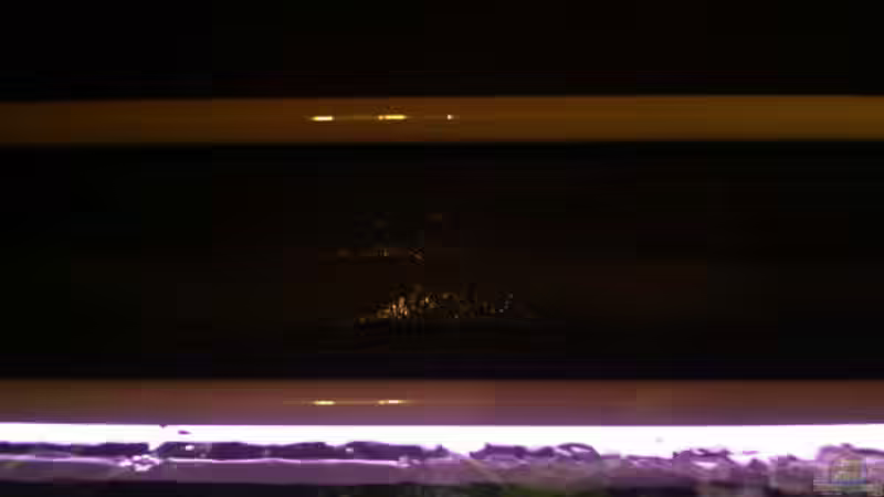 Technik im Aquarium Becken 1206 von Mathias Kern (8)