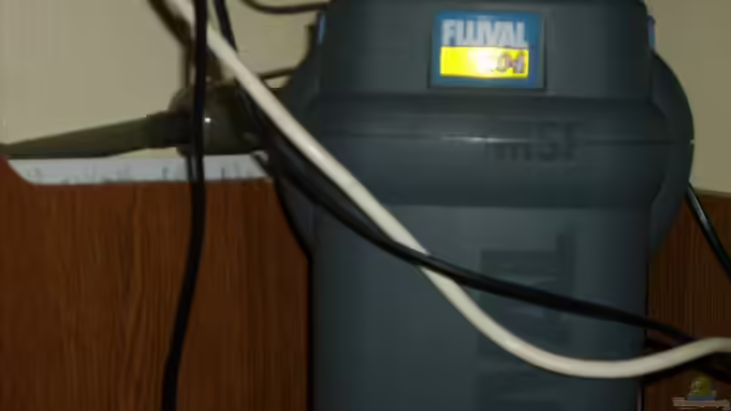 Technik im Aquarium Becken 12106 von Sebi82 (8)