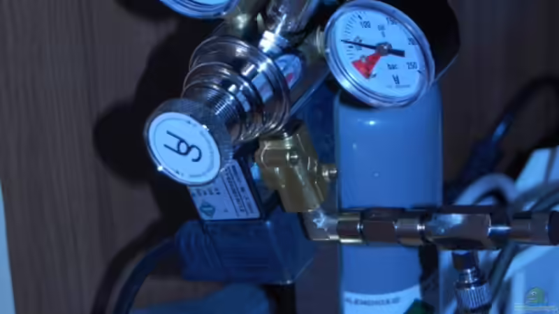 Technik im Aquarium Becken 12117 von Floyd (6)