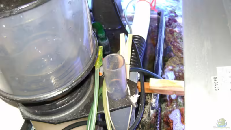 Technik im Aquarium Becken 12156 von Manuel Saßenberg (20)