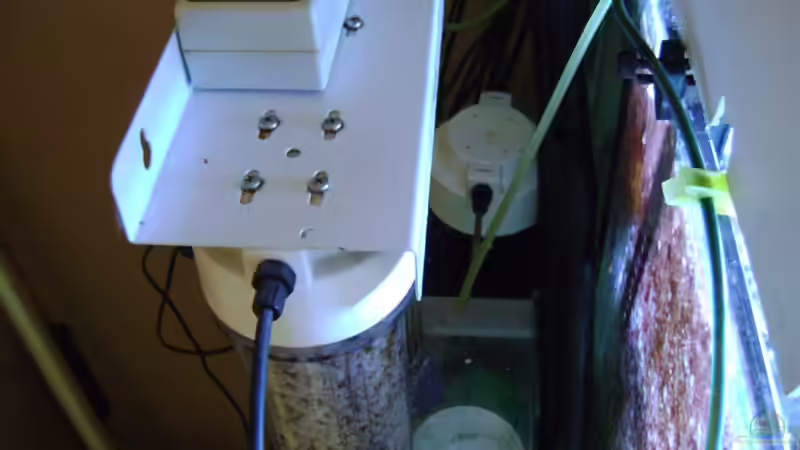 Technik im Aquarium Becken 12156 von Manuel Saßenberg (21)