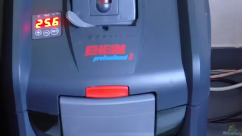 Technik im Aquarium Becken 12205 von Sponge Bob (9)