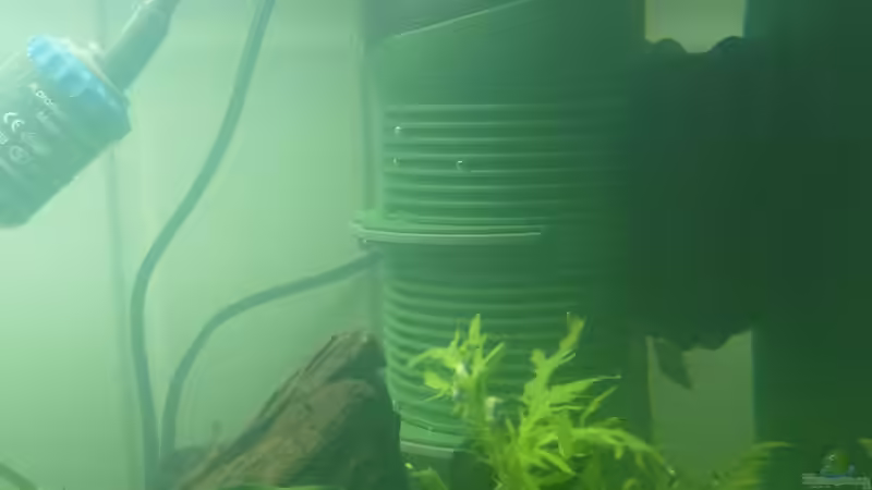 Technik im Aquarium Becken 12272 von Sonja (14)