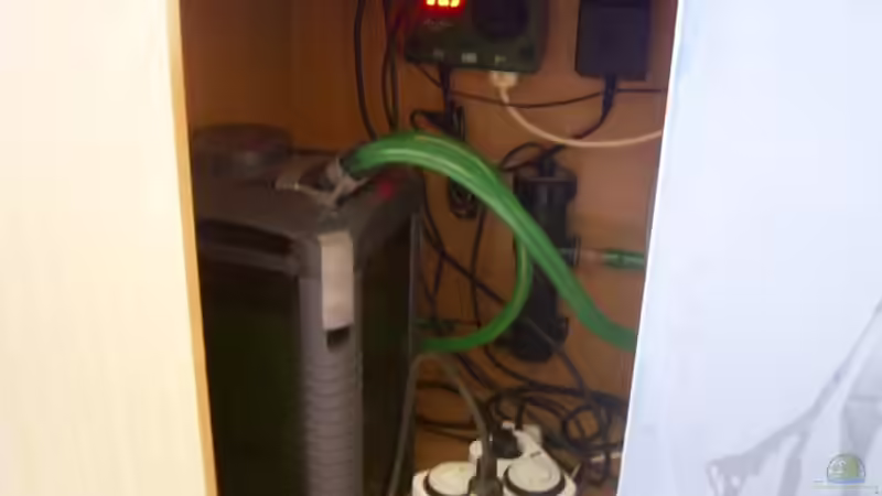 Technik im Aquarium Becken 1230 von Torsten Krohn (7)