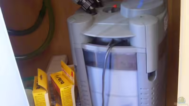 Technik im Aquarium Becken 1230 von Torsten Krohn (8)