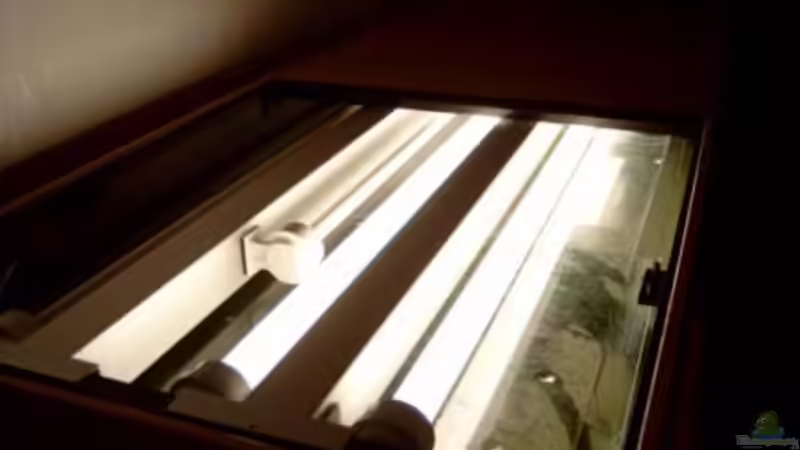 Technik im Aquarium Becken 1248 von Sven Göhre (4)