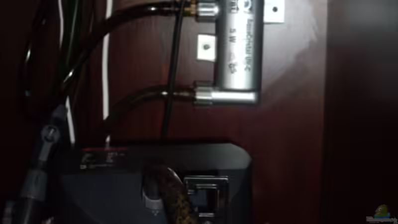 Technik im Aquarium Becken 12579 von Franky Lunatic (13)