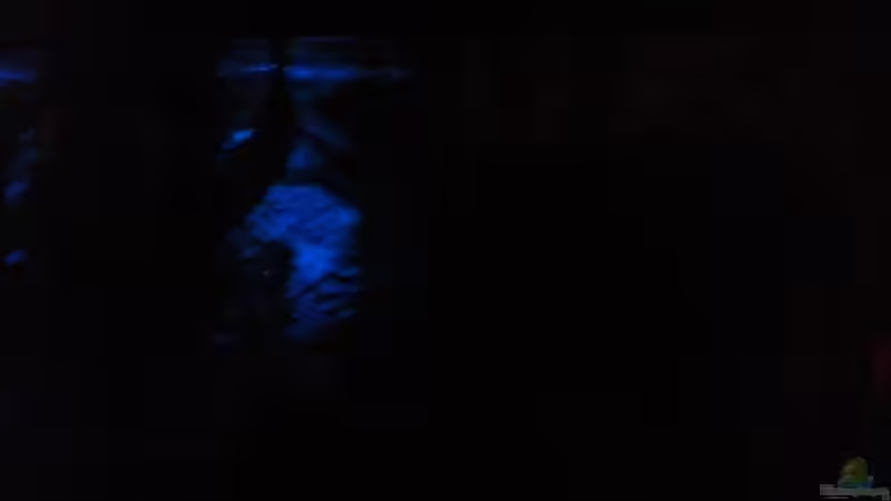 Technik im Aquarium Becken 12734 von Königscobra (18)