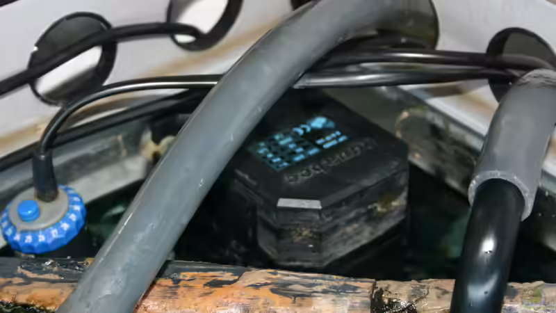 Technik im Aquarium Becken 1288 von Sven Koch (5)