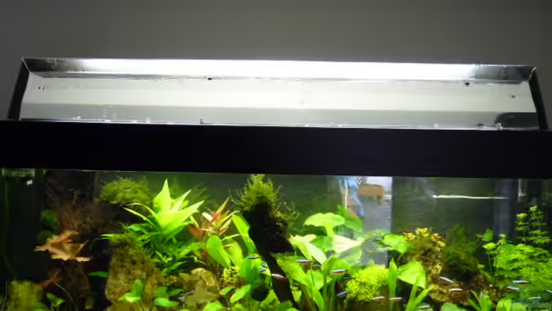 Technik im Aquarium Becken 12968 von Pogobeer (21)