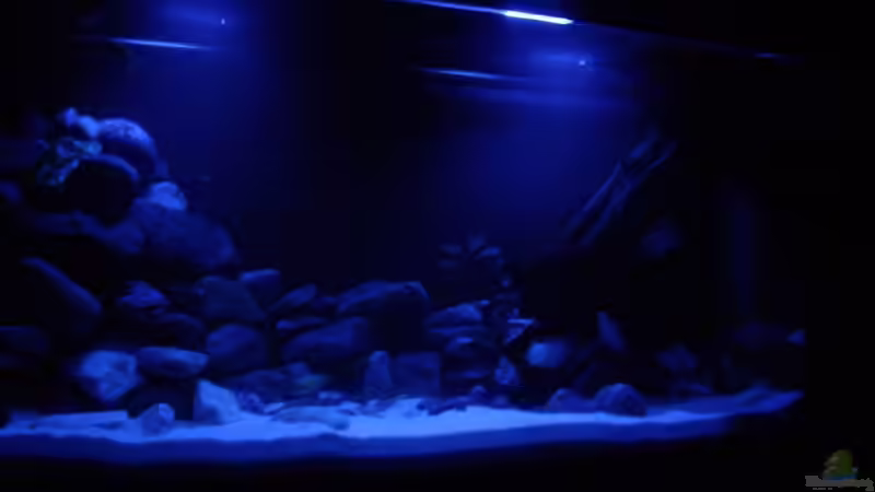 Technik im Aquarium Becken 13130 von Maze (3)