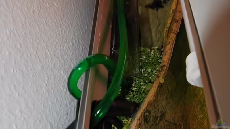Technik im Aquarium Becken 13164 von Beni (12)