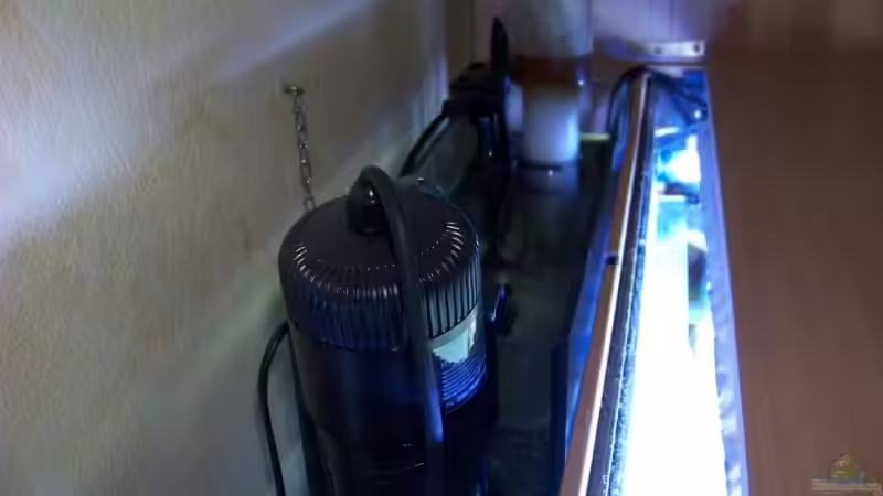 Technik im Aquarium Becken 13240 von Rudolf Erni (9)