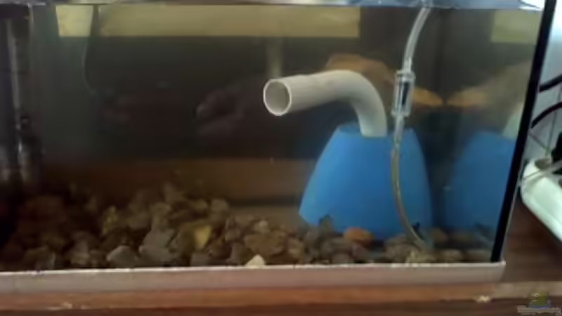 Technik im Aquarium Becken 13253 von Kai Dinkel (3)