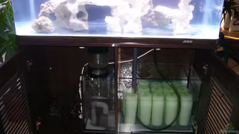 Technik im Aquarium Becken 13332 von Kadijah (4)