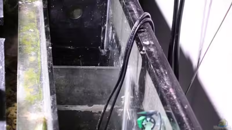 Technik im Aquarium Becken 13350 von Marco Vasev (21)