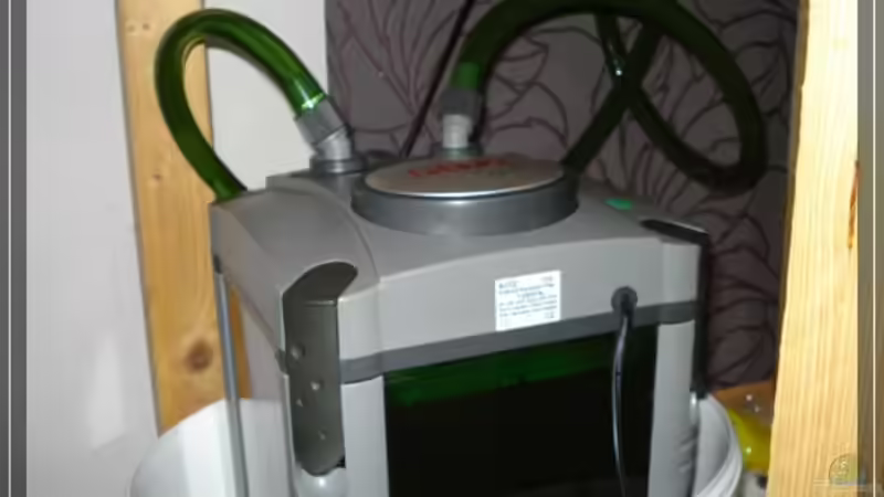 Technik im Aquarium Becken 13433 von Malawifan0412 (4)