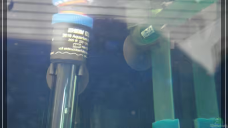 Technik im Aquarium Becken 13433 von Malawifan0412 (6)