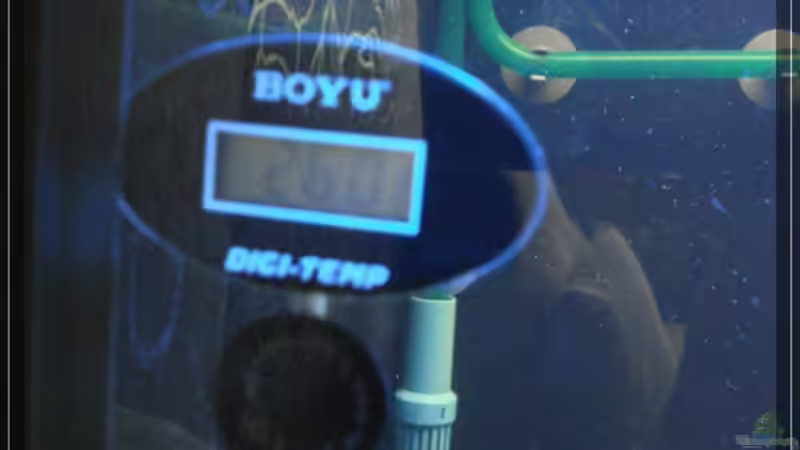 Technik im Aquarium Becken 13433 von Malawifan0412 (7)