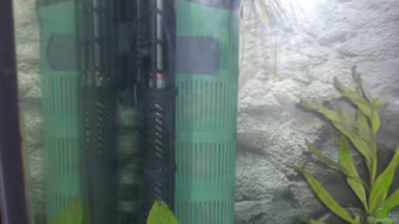 Technik im Aquarium Becken 13449 von Königscobra (28)