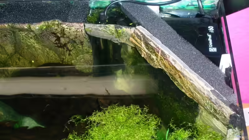 Technik im Aquarium Becken 13496 von Dasy´s_Neelybecken (5)