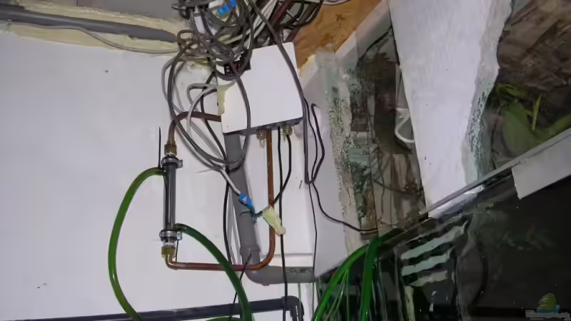 Technik im Aquarium Becken 13562 von dornwels (39)