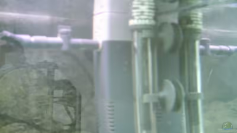 Technik im Aquarium Becken 1358 von Andreas Schlegel (5)