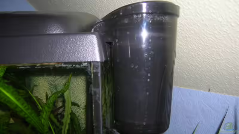 Technik im Aquarium Becken 1374 von Gordon Rehse (6)