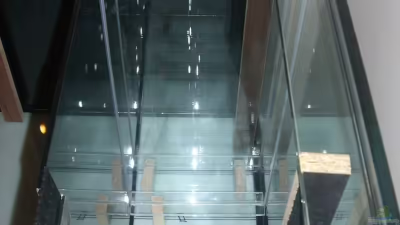 Technik im Aquarium Becken 13826 von Dominik Steigewald (13)