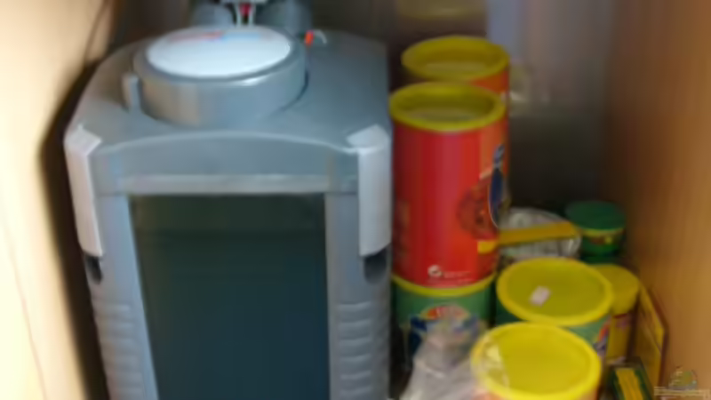 Technik im Aquarium Becken 1387 von Mario Jungnitsch (12)