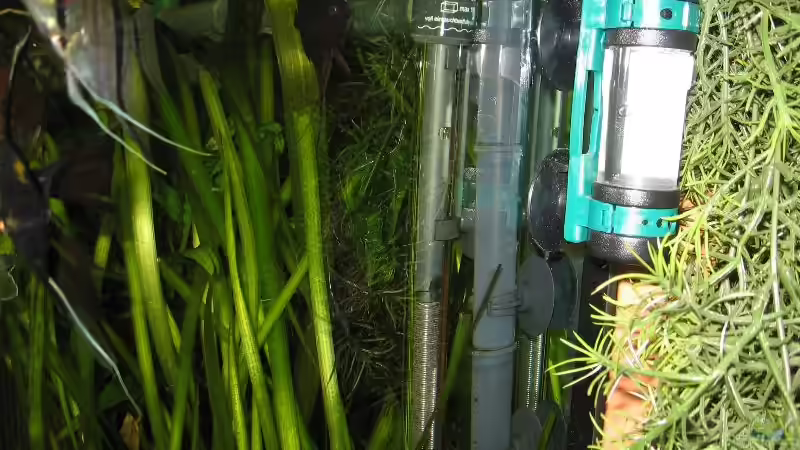 Technik im Aquarium Becken 1399 von Rita Abe (9)