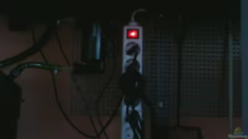 Technik im Aquarium Becken 14104 von CICHLID (22)