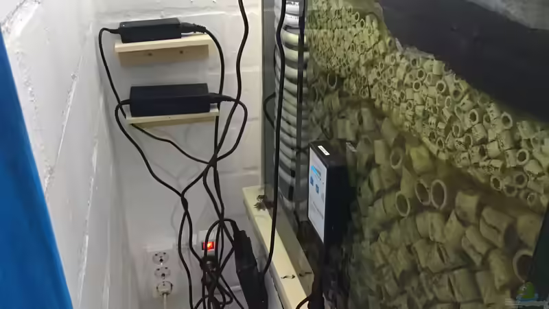 Technik im Aquarium Becken 14239 von Oliver Bartels (9)