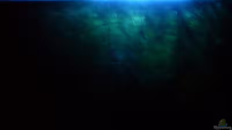 Technik im Aquarium Becken 14287 von lichterschein (17)