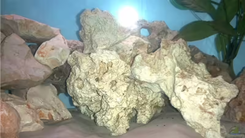 Technik im Aquarium Becken 1430 von Ulrich Kuhl (5)