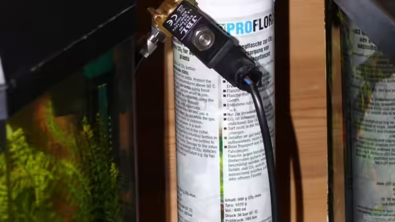 Technik im Aquarium Becken 14319 von Bunter Fisch (19)